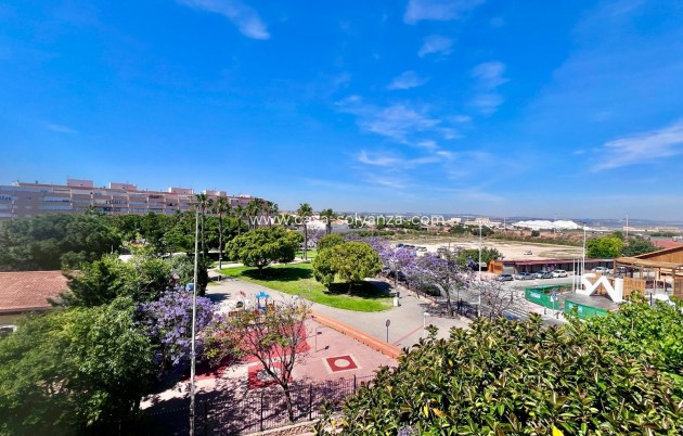 Herverkoop - Appartement / flat - Torrevieja - Acequion