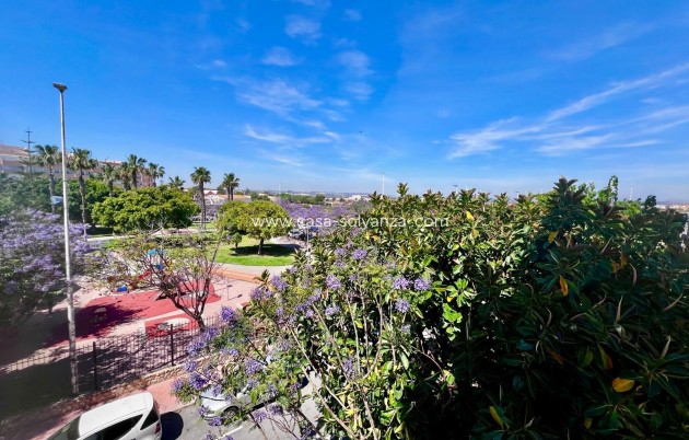 Herverkoop - Appartement / flat - Torrevieja - Acequion