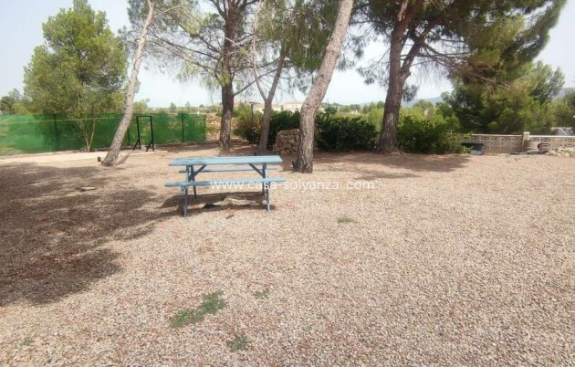 Wiederverkauf - Kommerziell - Ayora