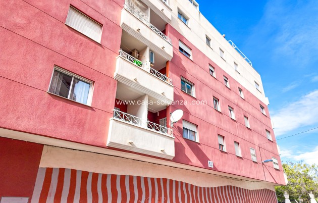 Herverkoop - Appartement / flat - Torrevieja - Costa Blanca