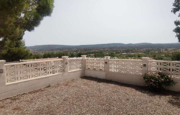 Wiederverkauf - Kommerziell - Ayora