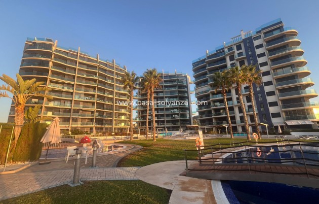 Herverkoop - Appartement / flat - Punta Prima - Costa Blanca
