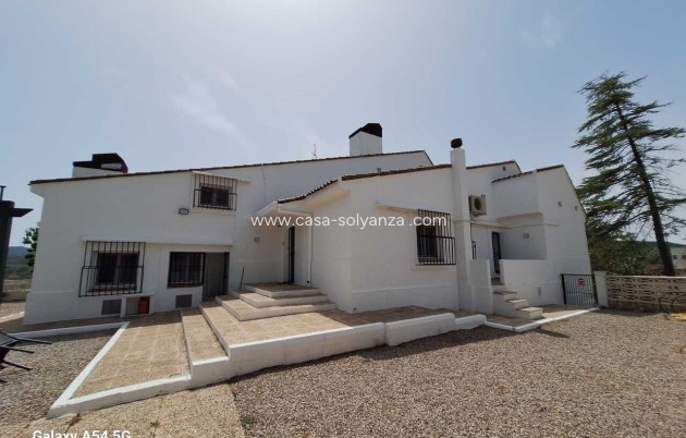 Wiederverkauf - Kommerziell - Ayora