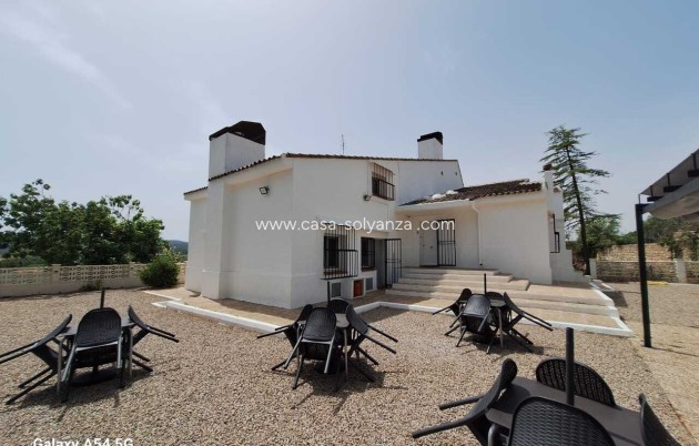 Wiederverkauf - Kommerziell - Ayora