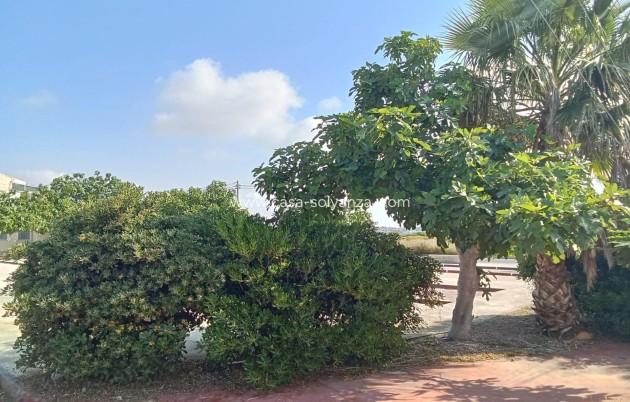 Herverkoop - Bungalow - Torrevieja - Torretas