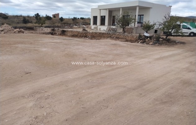 Herverkoop - Villa - Pinoso - Inland
