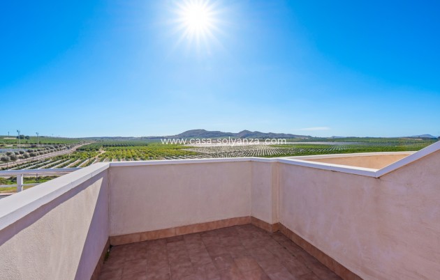 Herverkoop - Appartement / flat - Algorfa - Inland