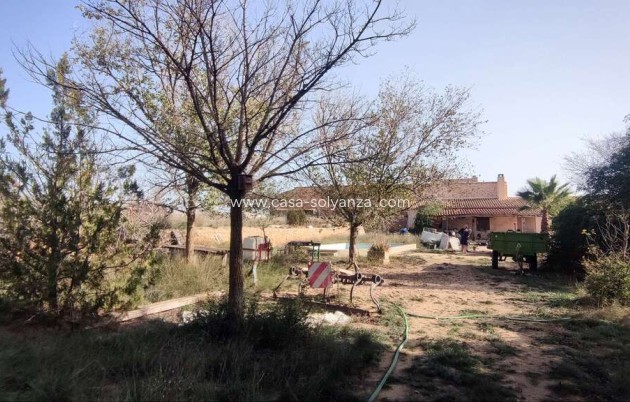 Resale - Country Property/Finca - Pinoso