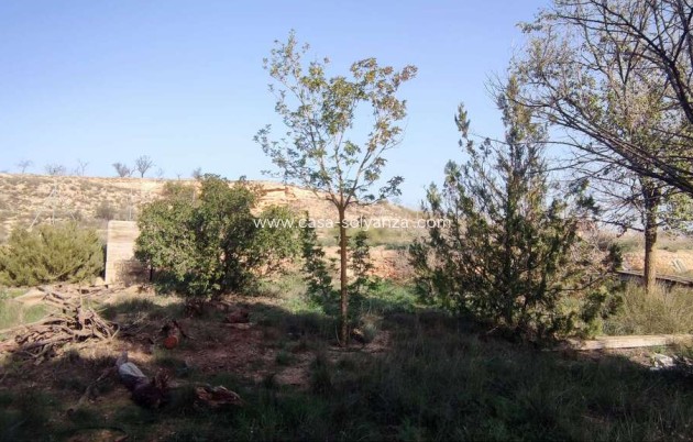 Resale - Country Property/Finca - Pinoso