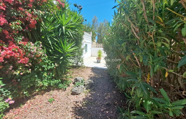 Reventa - Villa - San Miguel de Salinas - Inland