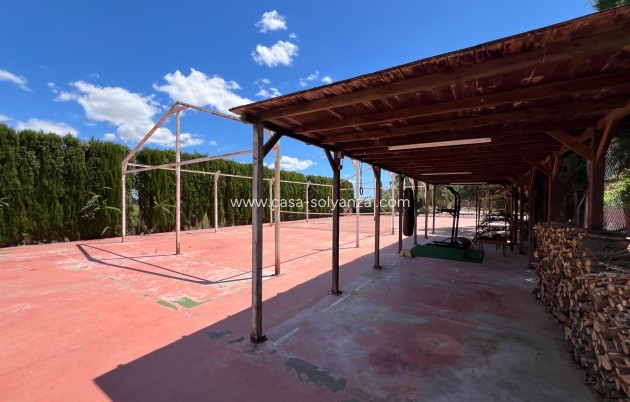 Reventa - Country Property/Finca - Dolores - Comunidad Valenciana