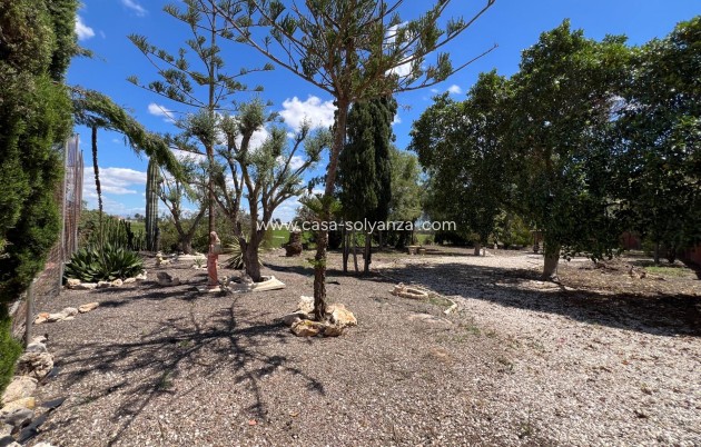 Reventa - Country Property/Finca - Dolores - Comunidad Valenciana