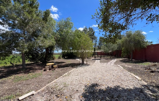 Reventa - Country Property/Finca - Dolores - Comunidad Valenciana