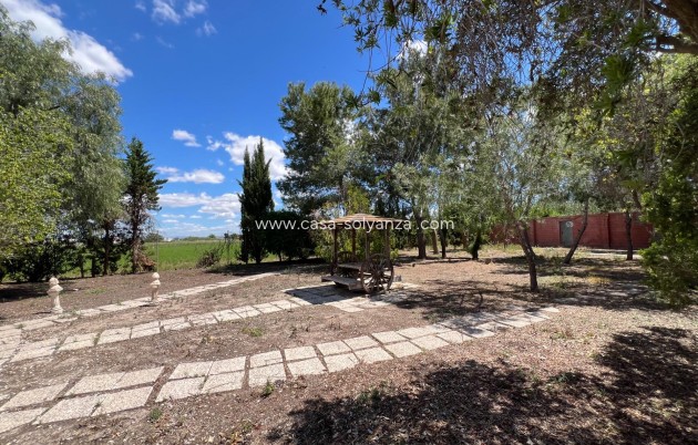 Reventa - Country Property/Finca - Dolores - Comunidad Valenciana