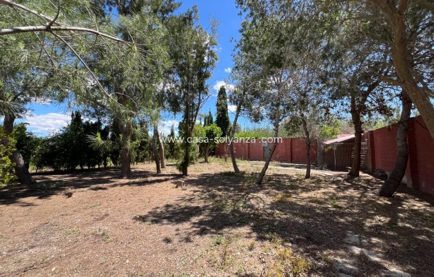 Reventa - Country Property/Finca - Dolores - Comunidad Valenciana