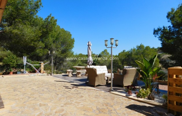 Herverkoop - Finca / Country Property - Torremendo