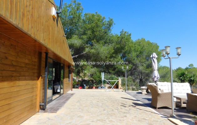 Herverkoop - Finca / Country Property - Torremendo