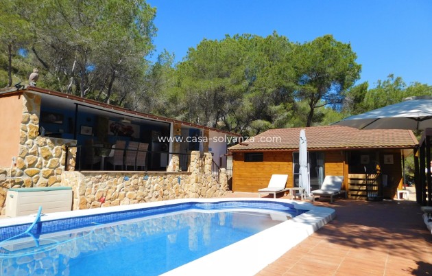 Herverkoop - Finca / Country Property - Torremendo