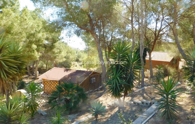 Herverkoop - Finca / Country Property - Torremendo