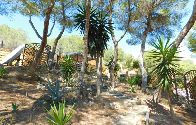 Herverkoop - Finca / Country Property - Torremendo