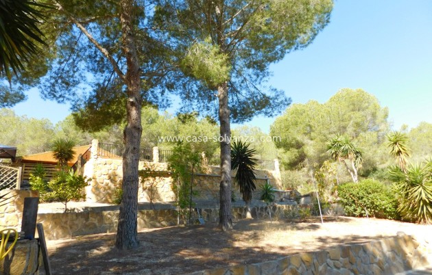 Herverkoop - Finca / Country Property - Torremendo