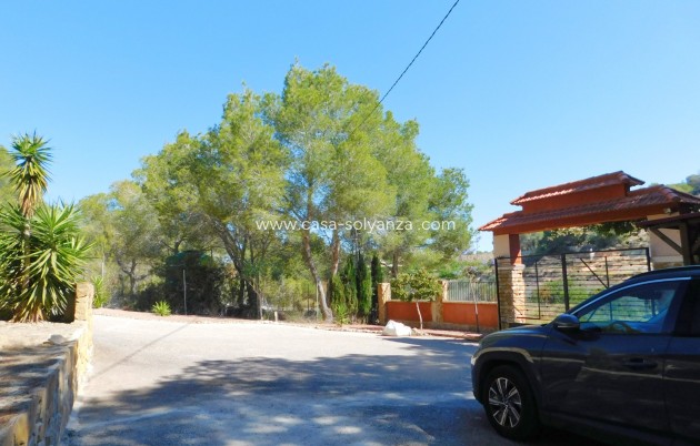 Herverkoop - Finca / Country Property - Torremendo