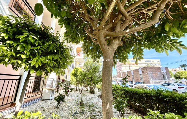 Resale - Apartment / flat - Torrevieja - Costa Blanca