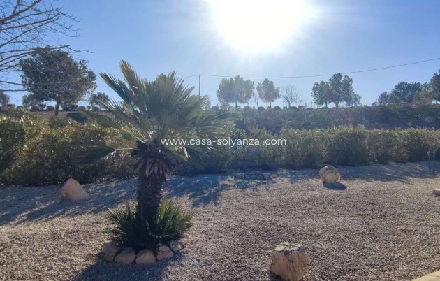 Reventa - Villa - Pinoso