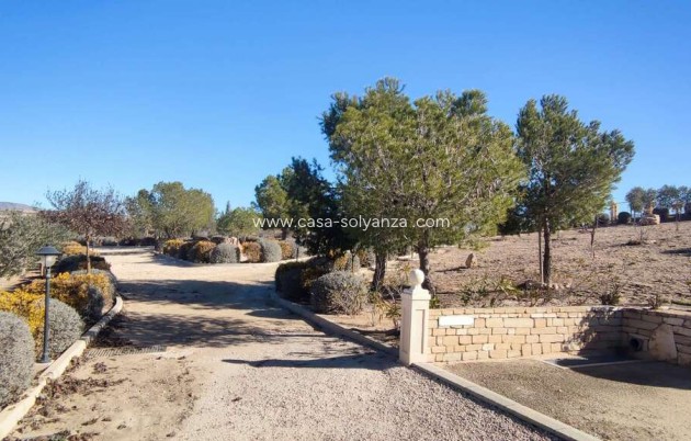 Reventa - Villa - Pinoso