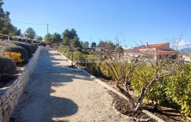 Reventa - Villa - Pinoso