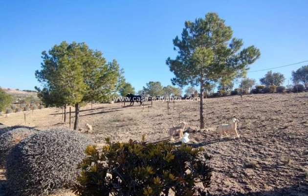 Reventa - Villa - Pinoso