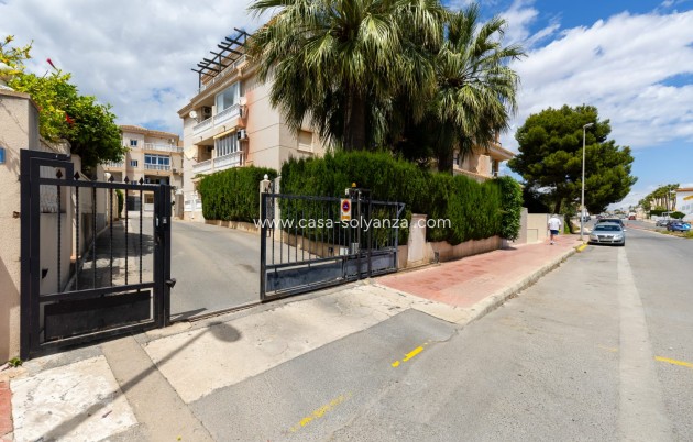 Alquiler a corto plazo - Apartamento / piso - Orihuela - La Zenia