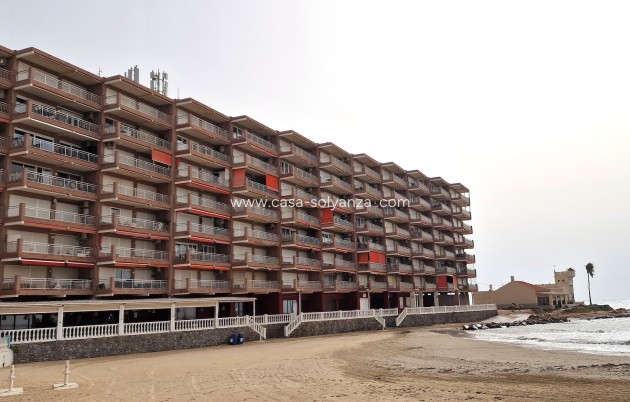 Wiederverkauf - Wohnung - Torrevieja