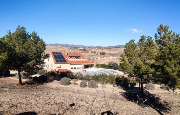 Reventa - Villa - Pinoso