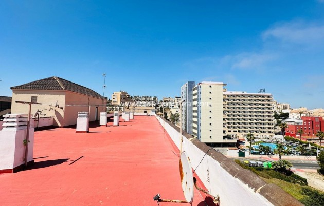 Revente - Appartement - Torrevieja - Cabo cervera