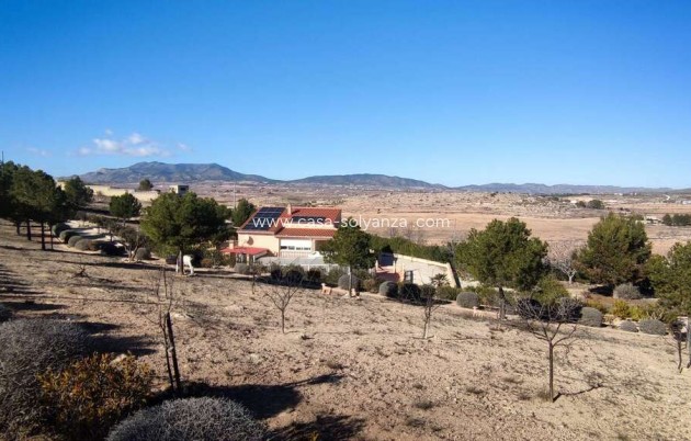Reventa - Villa - Pinoso