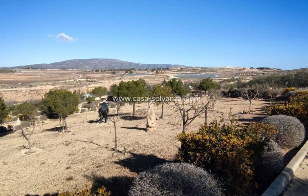 Reventa - Villa - Pinoso