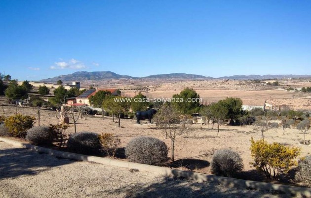 Reventa - Villa - Pinoso