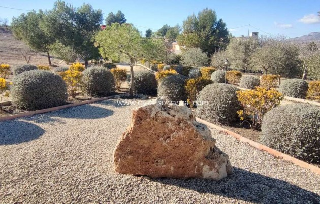 Reventa - Villa - Pinoso