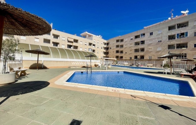 Resale - Apartment / flat - Torrevieja - Costa Blanca