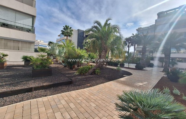 Reventa - Apartamento / piso - Orihuela Costa - Los Dolses