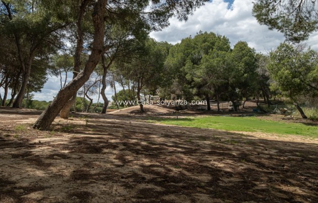 Reventa - Apartamento / piso - Orihuela - Las Ramblas