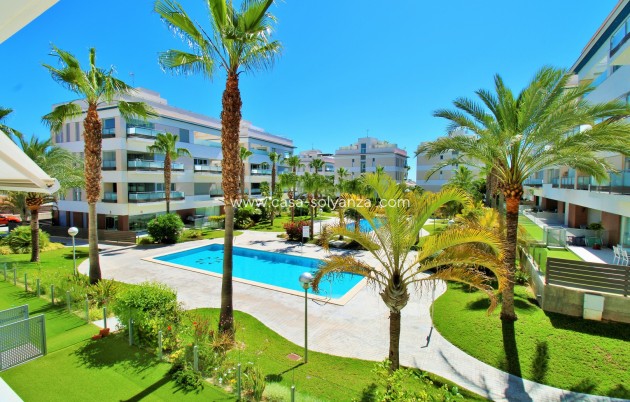 Reventa - Apartamento / piso - Villamartin - Los Dolses