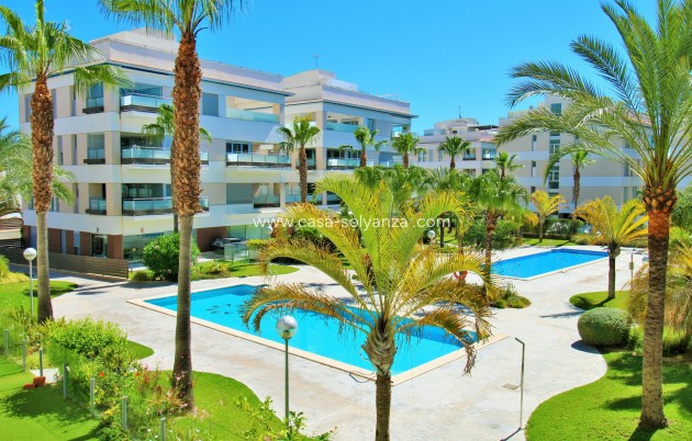 Reventa - Apartamento / piso - Villamartin - Los Dolses