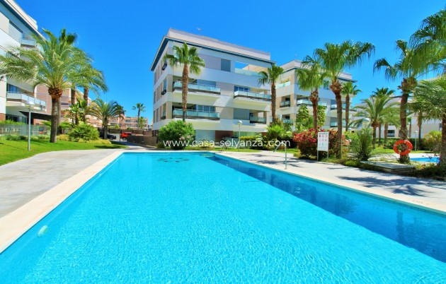 Reventa - Apartamento / piso - Villamartin - Los Dolses