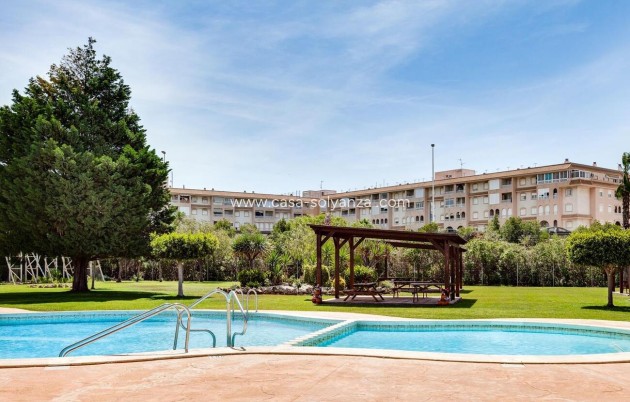Reventa - Bungalow - Torrevieja - PARQUE DE LAS NACIONES