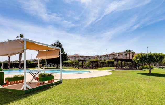 Reventa - Bungalow - Torrevieja - PARQUE DE LAS NACIONES
