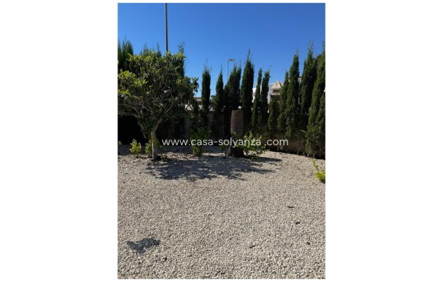 Reventa - Apartamento / piso - Ciudad Quesada - Doña pepa