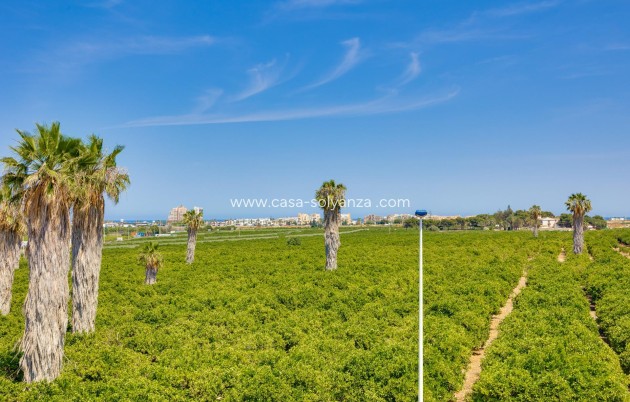 Reventa - Adosado - Torrevieja - Los Balcones