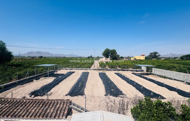Reventa - Country Property/Finca - Albatera